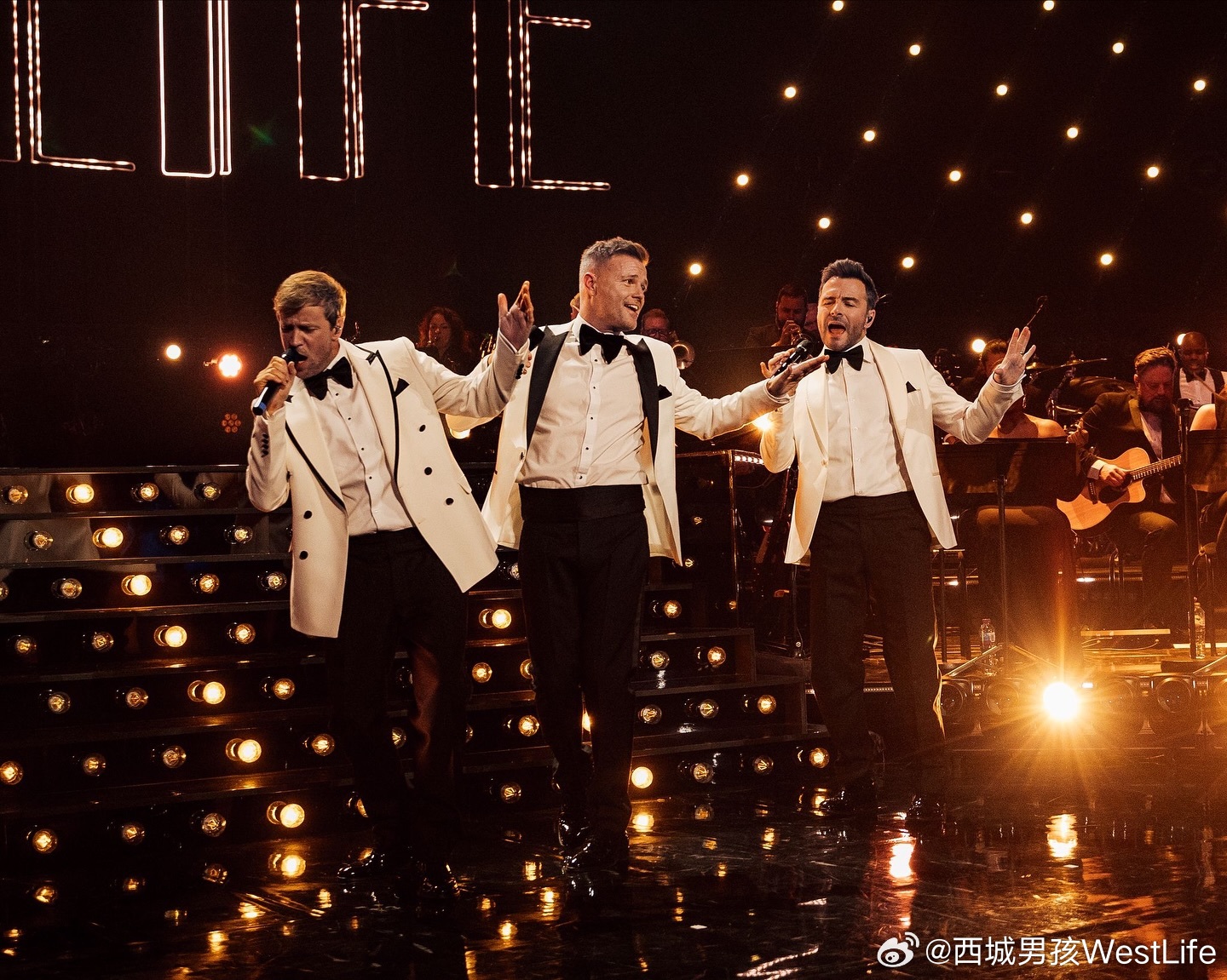 1769242391549069868.jpg 1769242391549069868.jpg